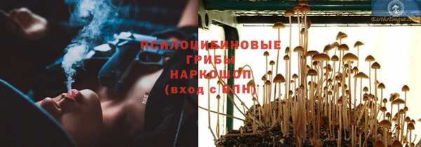 спиды Елабуга