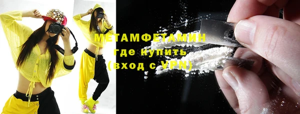 гидра Елизово