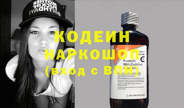 гидра Елизово