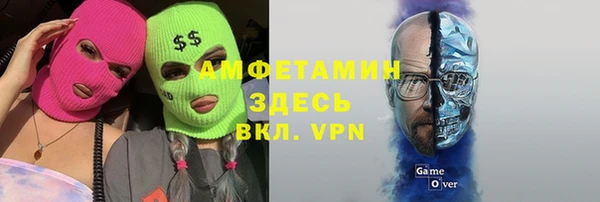 гидра Елизово