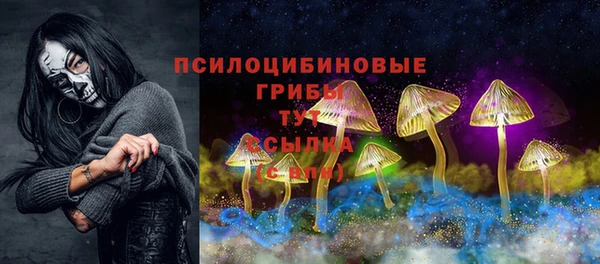 гидра Елизово
