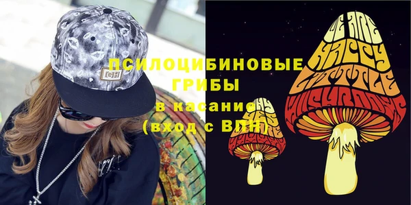 гидра Елизово