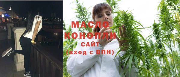 гидра Елизово