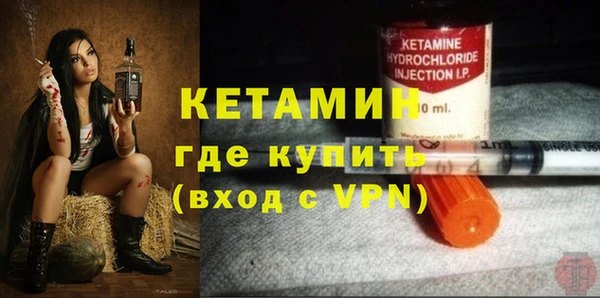 гидра Елизово