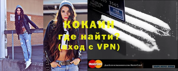 гидра Елизово