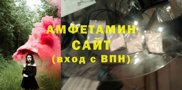 гидра Елизово