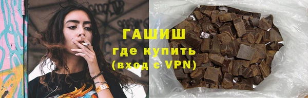 гидра Елизово
