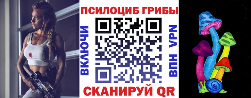 Галлюциногенные грибы мухоморы где можно купить Хилок
